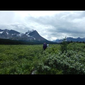 Meet your Posher, Hanna